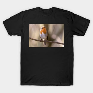 Robin gaze T-Shirt